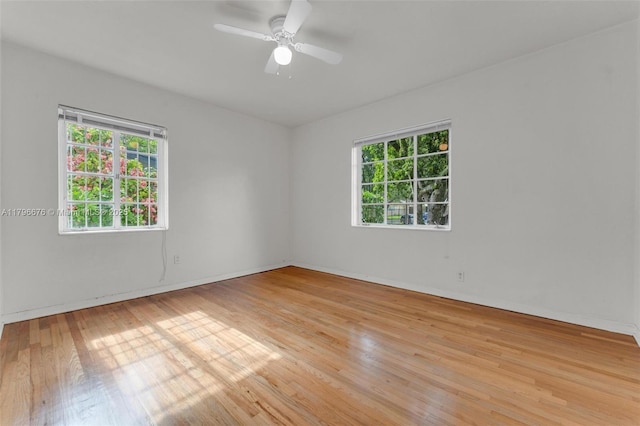 69 NE 115th St, Miami, FL 33161 - photo 5