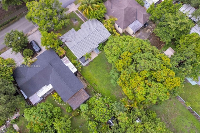 69 NE 115th St, Miami, FL 33161 - photo 9