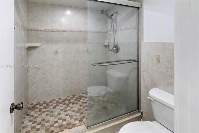 full bathroom with toilet and a stall shower
