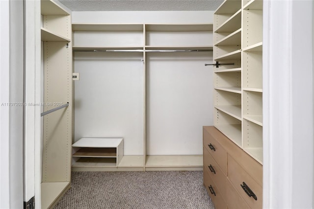 spacious closet with carpet flooring