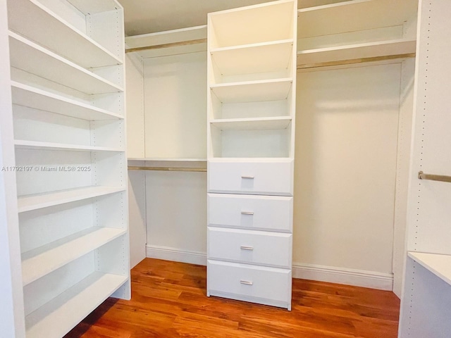 spacious closet featuring wood finished floors