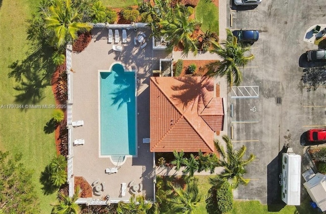 drone / aerial view
