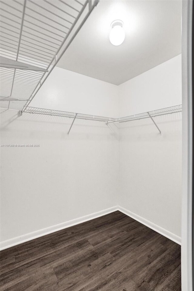 walk in closet with dark wood-style flooring