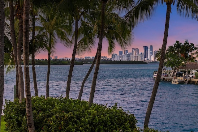 property view of water with a city view