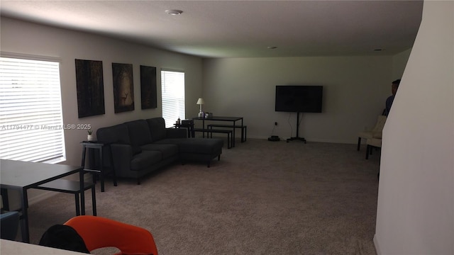 741 White Cloud St SW, Palm Bay, FL 32908 - view of carpeted living area