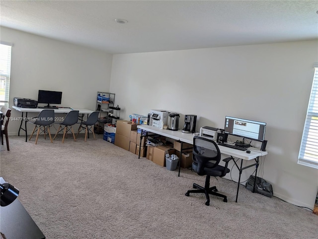 741 White Cloud St SW, Palm Bay, FL 32908 - office featuring carpet