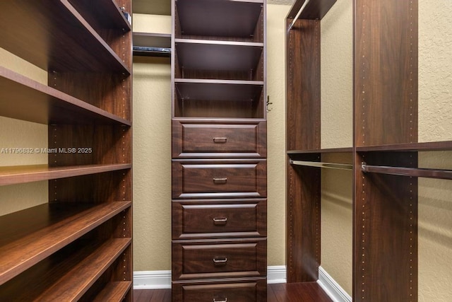 4528 SW 183rd Ave, Miramar, FL 33029 - spacious closet with dark wood-type flooring