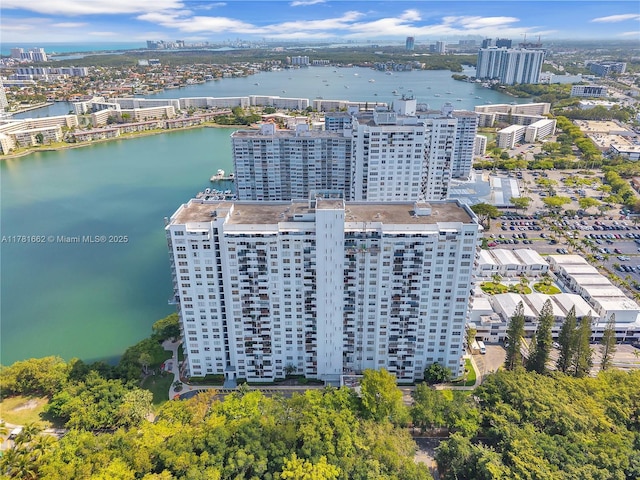aerial view with a water view and a view of city
