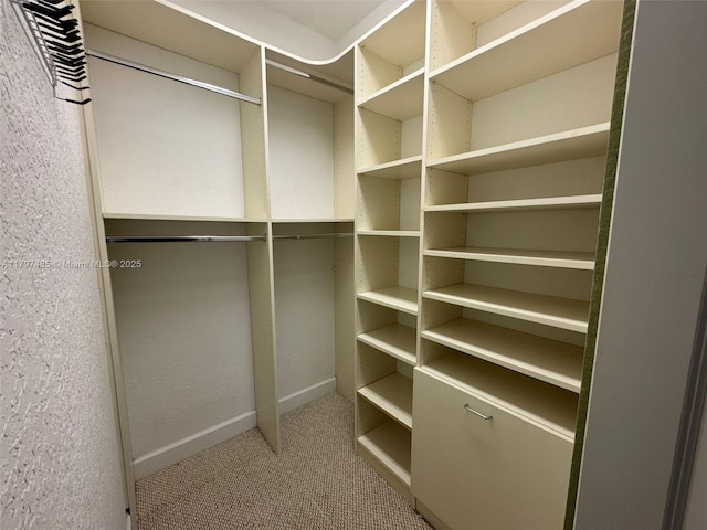 8706 Blaze Ct, Davie, FL 33328 - walk in closet featuring carpet floors