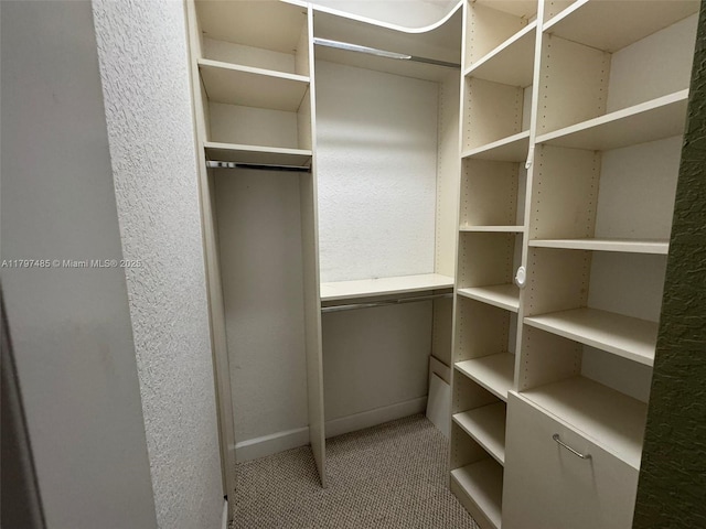 8706 Blaze Ct, Davie, FL 33328 - spacious closet featuring carpet flooring