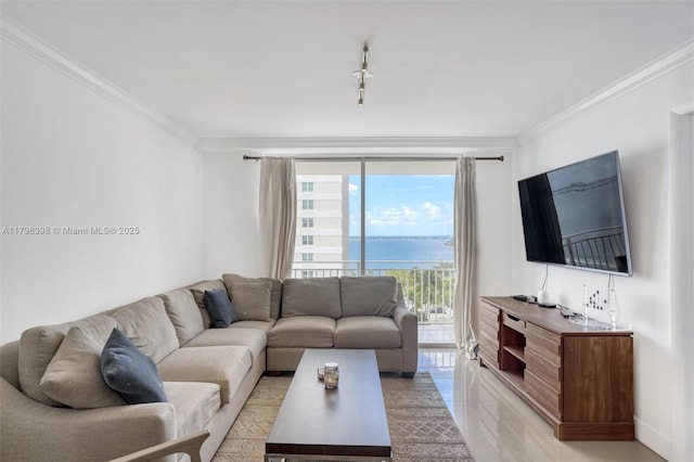 770 Claughton Island Dr Unit 1114, Miami, FL 33131 - living room featuring ornamental molding