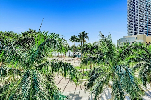 488 NE 18th St Unit 208, Miami, FL 33132 - water view