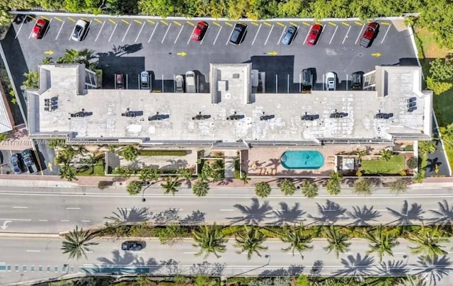 bird's eye view
