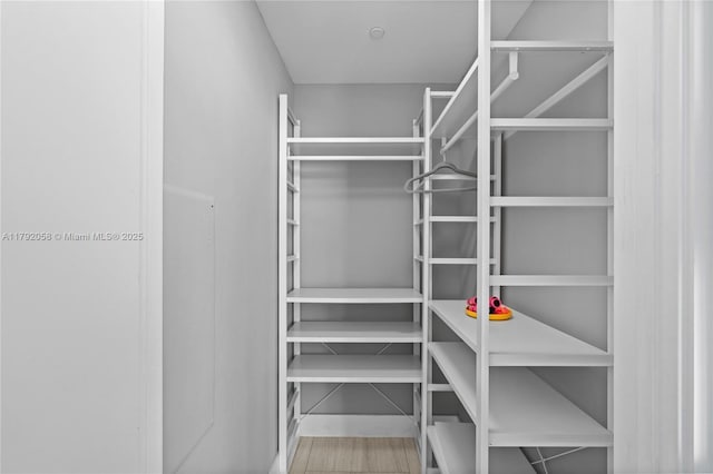 walk in closet with wood finished floors