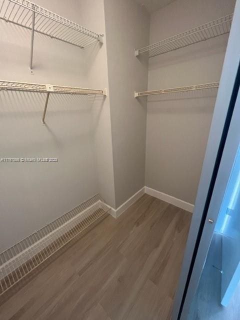 walk in closet featuring wood finished floors