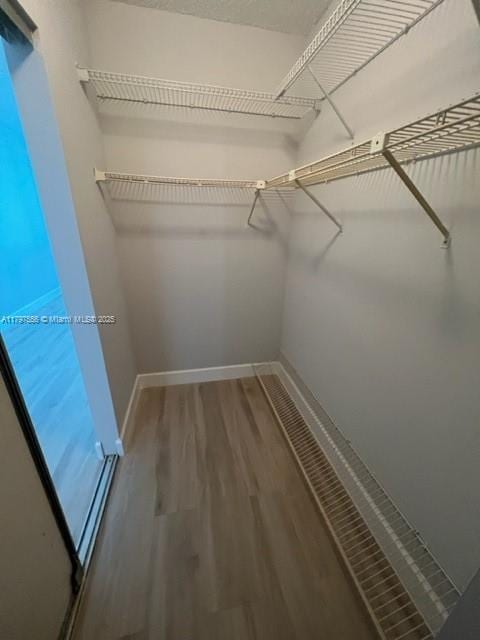walk in closet featuring wood finished floors
