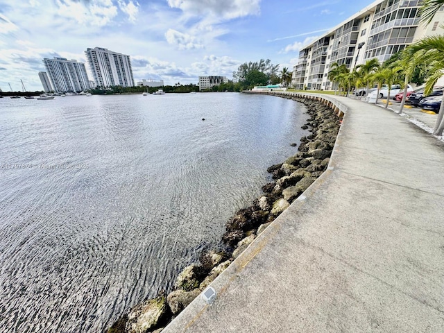 property view of water