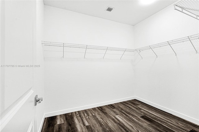 spacious closet with dark wood-style floors and visible vents