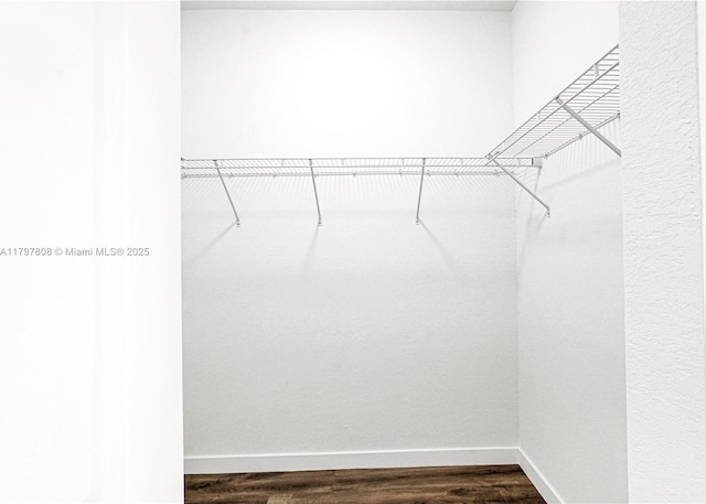 spacious closet featuring dark wood finished floors
