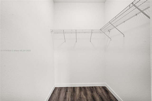 spacious closet with dark wood finished floors