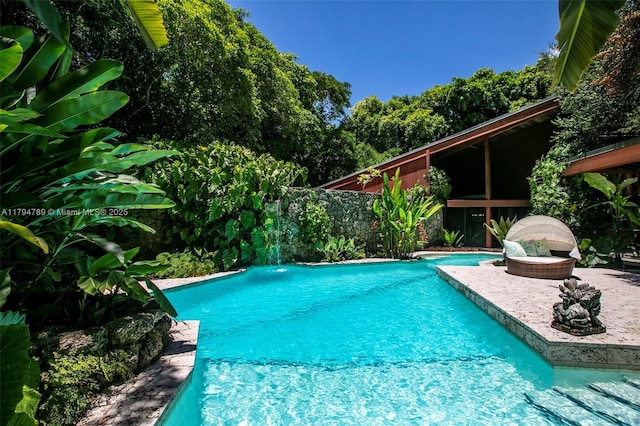 4895 SW 88th St, Miami, FL 33156 - view of outdoor pool