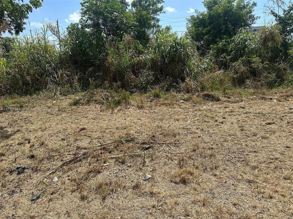 10025 W Indigo, Miami, FL 33157 - photo 2