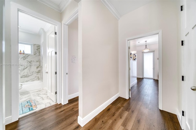 207 SW 11th St, Dania Beach, FL 33004 - corridor featuring ornamental molding, dark wood-style flooring, and baseboards