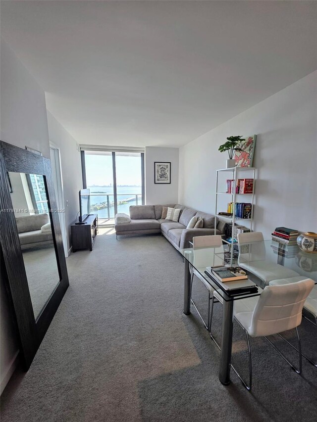 501 NE 31st St Unit 2802, Miami, FL 33137 - carpeted living area with floor to ceiling windows