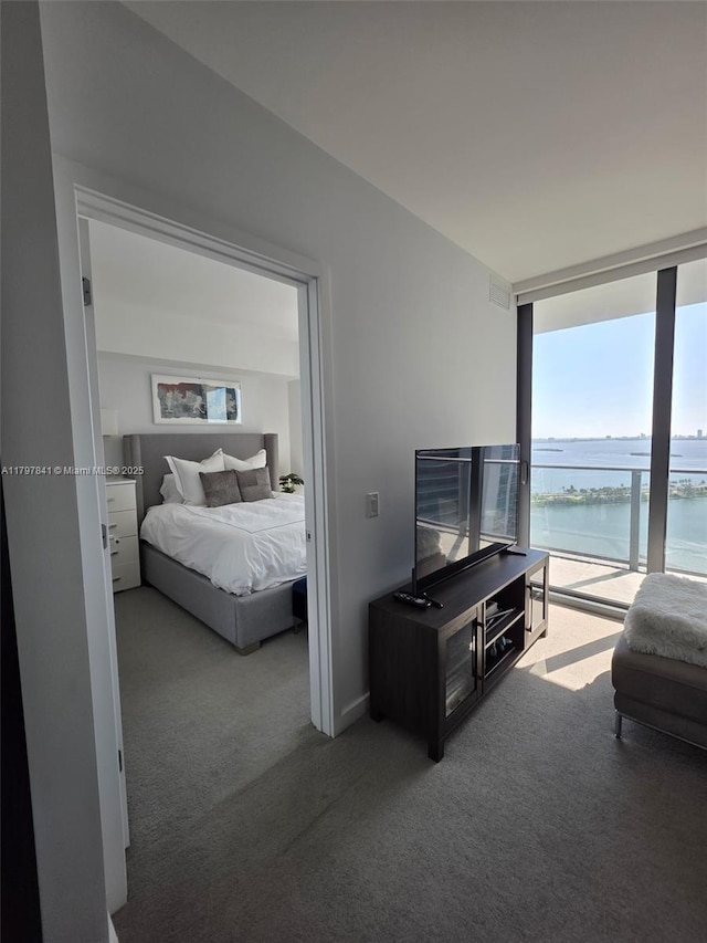 501 NE 31st St Unit 2802, Miami, FL 33137 - bedroom with carpet, access to outside, and expansive windows