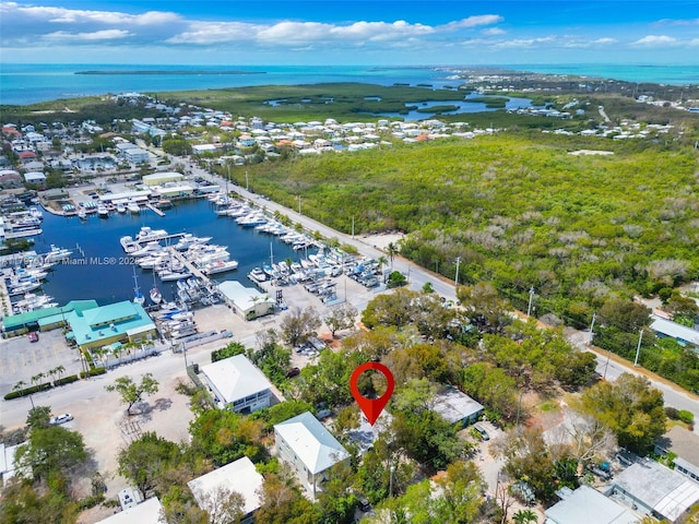 drone / aerial view with a water view