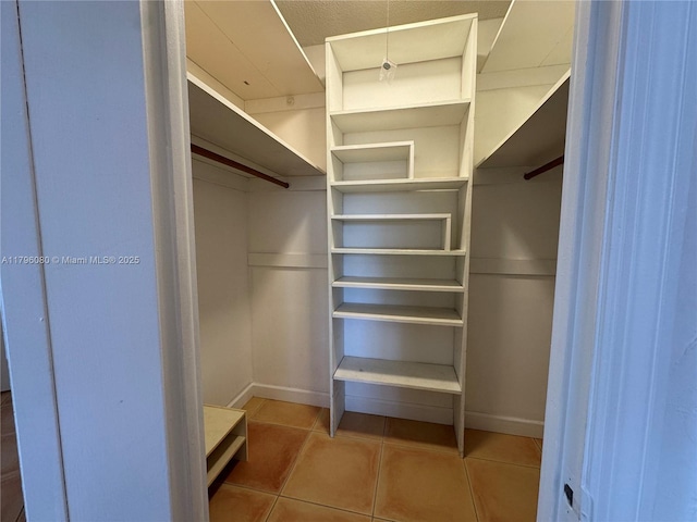 1700 Pierce St Unit 202, Hollywood, FL 33020 - spacious closet with tile patterned floors