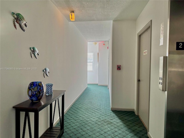 1700 Pierce St Unit 202, Hollywood, FL 33020 - corridor featuring carpet flooring, a textured ceiling, and baseboards