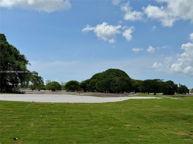 1700 Pierce St Unit 202, Hollywood, FL 33020 - view of home's community featuring a yard
