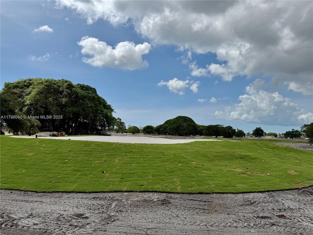 1700 Pierce St Unit 202, Hollywood, FL 33020 - view of community with a yard