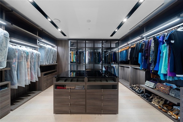 7025 Fisher Island Dr Unit 7025, Miami Beach, FL 33109 - spacious closet featuring wood finished floors