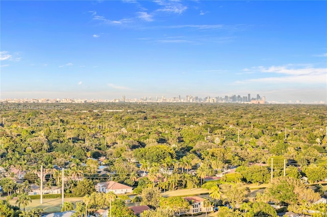 8501 SW 142nd St, Palmetto Bay, FL 33158 - drone / aerial view