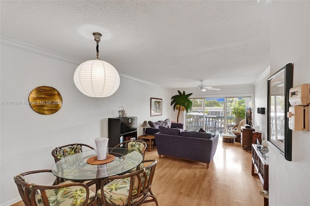 455 Paradise Isle Blvd Unit 209, Hallandale Beach, FL 33009 - dining room featuring ornamental molding, a textured ceiling, a ceiling fan, and light wood-style floors