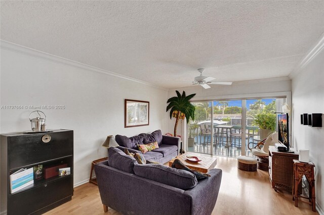 455 Paradise Isle Blvd Unit 209, Hallandale Beach, FL 33009 - living room with crown molding, a textured ceiling, and light wood-style flooring