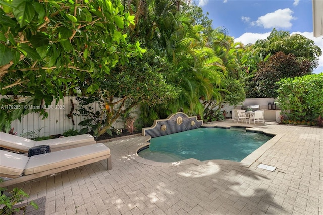 view of swimming pool featuring a patio area, a fenced backyard, and a fenced in pool