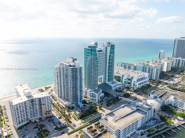 bird's eye view featuring a water view and a city view