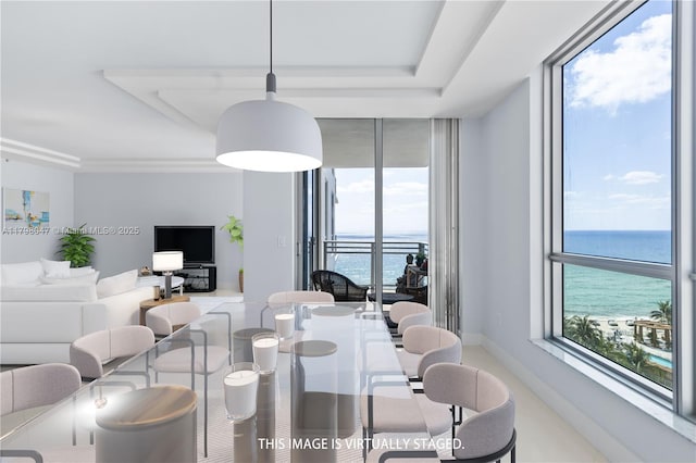 dining area with a raised ceiling