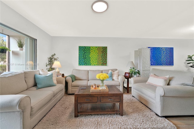 living room featuring wood finished floors