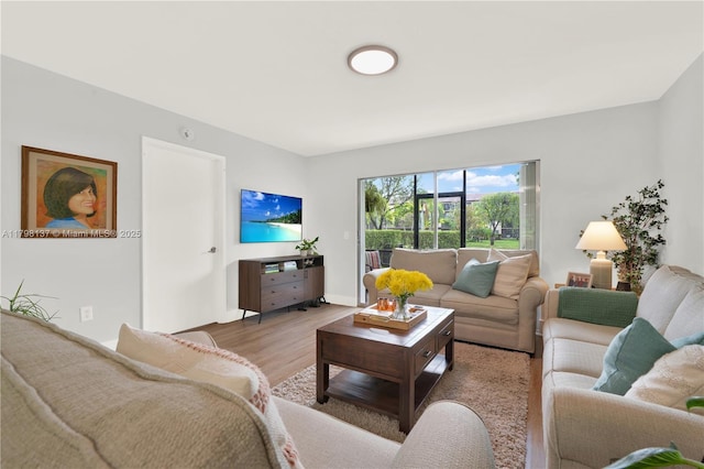living area featuring light wood finished floors