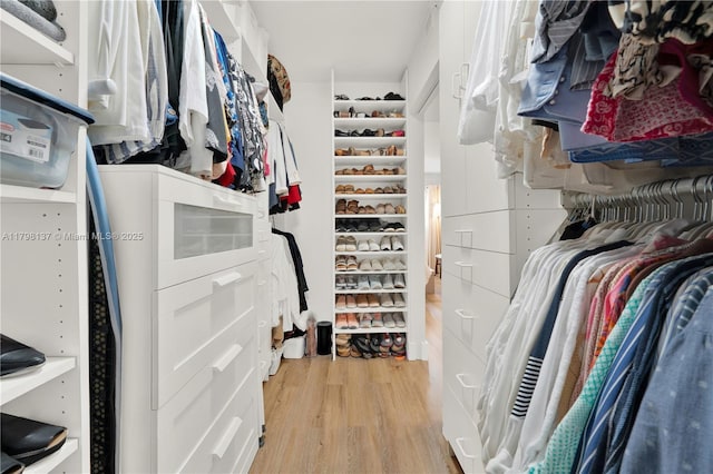 spacious closet featuring light wood finished floors