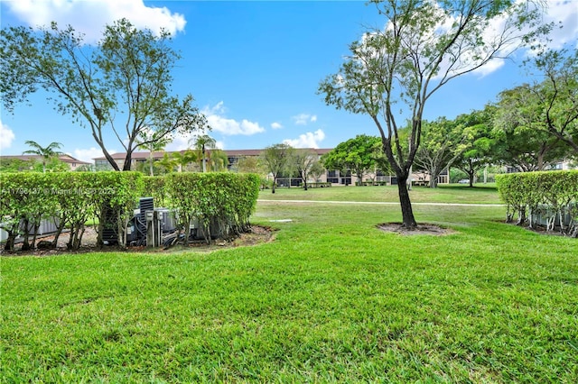 view of green lawn
