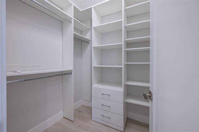 walk in closet featuring light wood-style floors