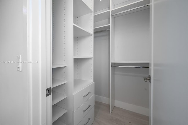 walk in closet featuring light wood finished floors