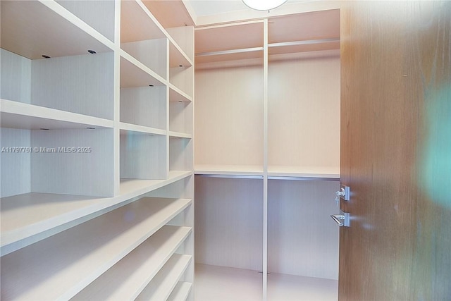 view of spacious closet