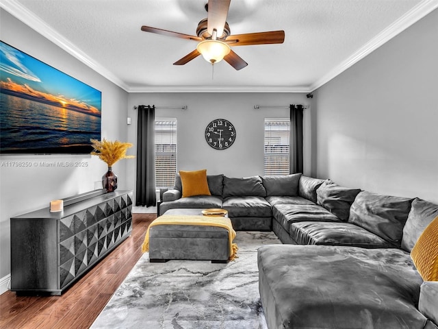 10273 SW 16th Ct, Pembroke Pines, FL 33025 - living room with ceiling fan, a textured ceiling, wood finished floors, crown molding, and baseboards