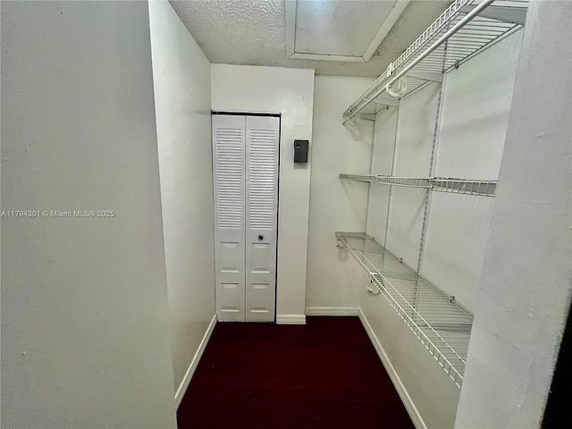 walk in closet featuring wood finished floors